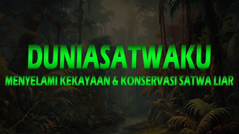 DuniaSatwaKu Menyelami Kekayaan dan Konservasi Satwa Liar