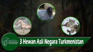 3 Hewan Asli Negara Turkmenistan