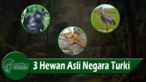 3 Hewan Asli Negara Uganda