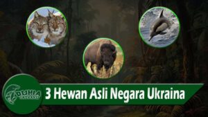 3 Hewan Asli Negara Ukraina