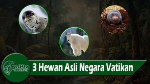 3 Hewan Asli Negara Vatikan