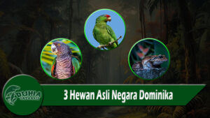 3 Hewan Asli Negara Dominika