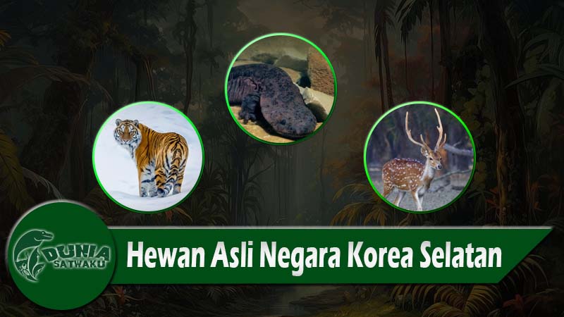 Hewan Asli Negara Korea Selatan