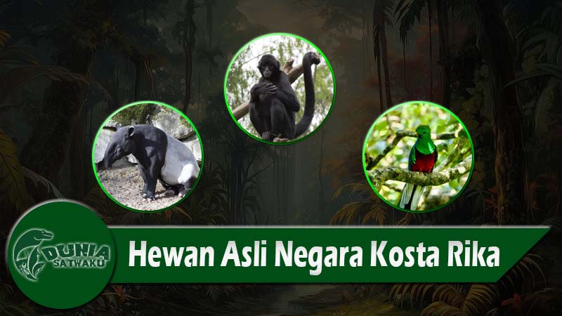 Hewan Asli Negara Kosta Rika