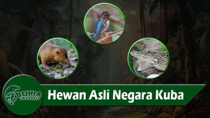 Hewan Asli Negara Kuba