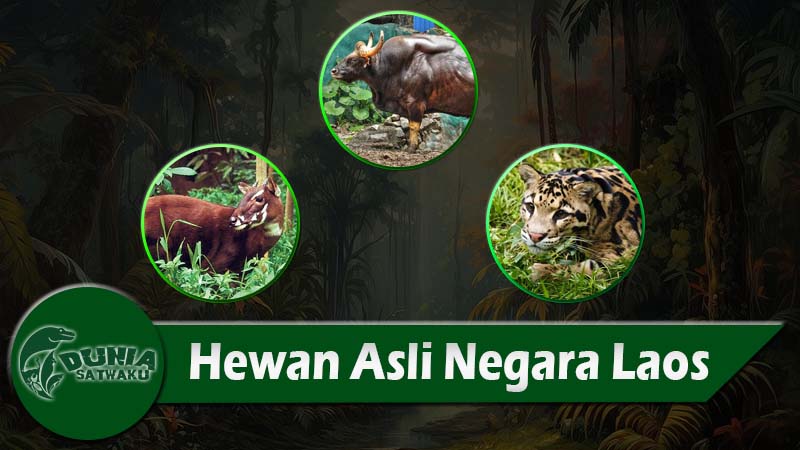 Hewan Asli Negara Laos