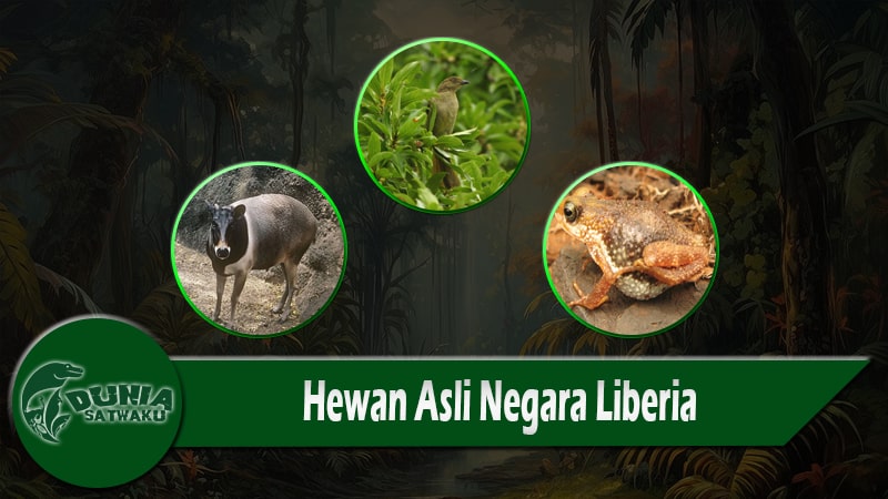 Hewan Asli Negara Liberia