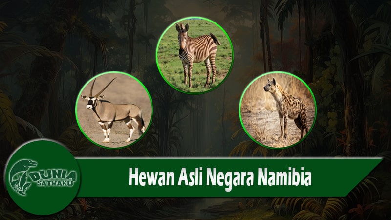 Hewan Asli Negara Namibia
