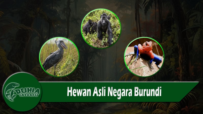 Hewan Asli Negara Burundi