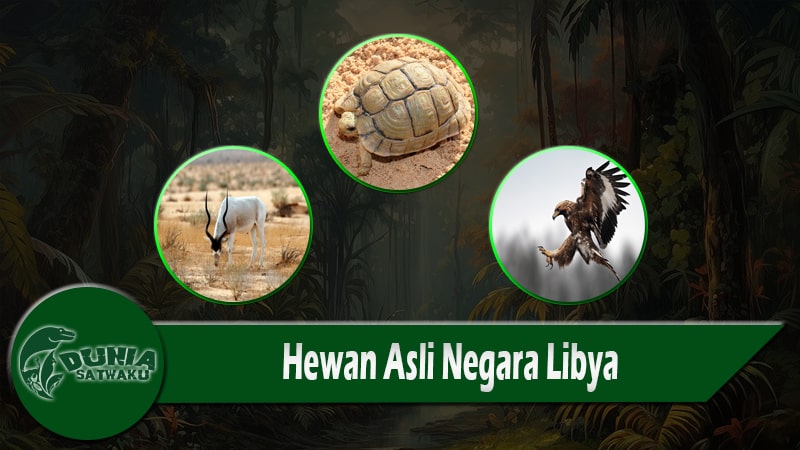 Hewan Asli Negara Libya