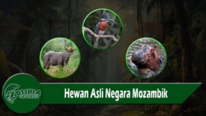 Hewan Asli Negara Mozambik