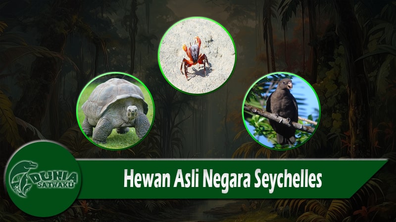 Hewan Asli Negara Seychelles