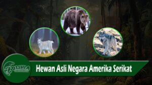 Hewan Asli Negara Amerika Serikat