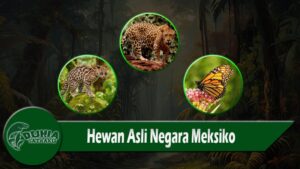 Hewan Asli Negara Meksiko