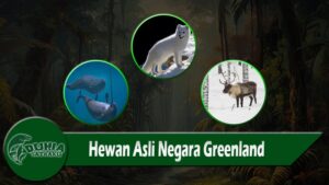 Hewan Asli Negara Greenland